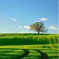 服﻿务‌器‍配﻿置‍总‍结﻿